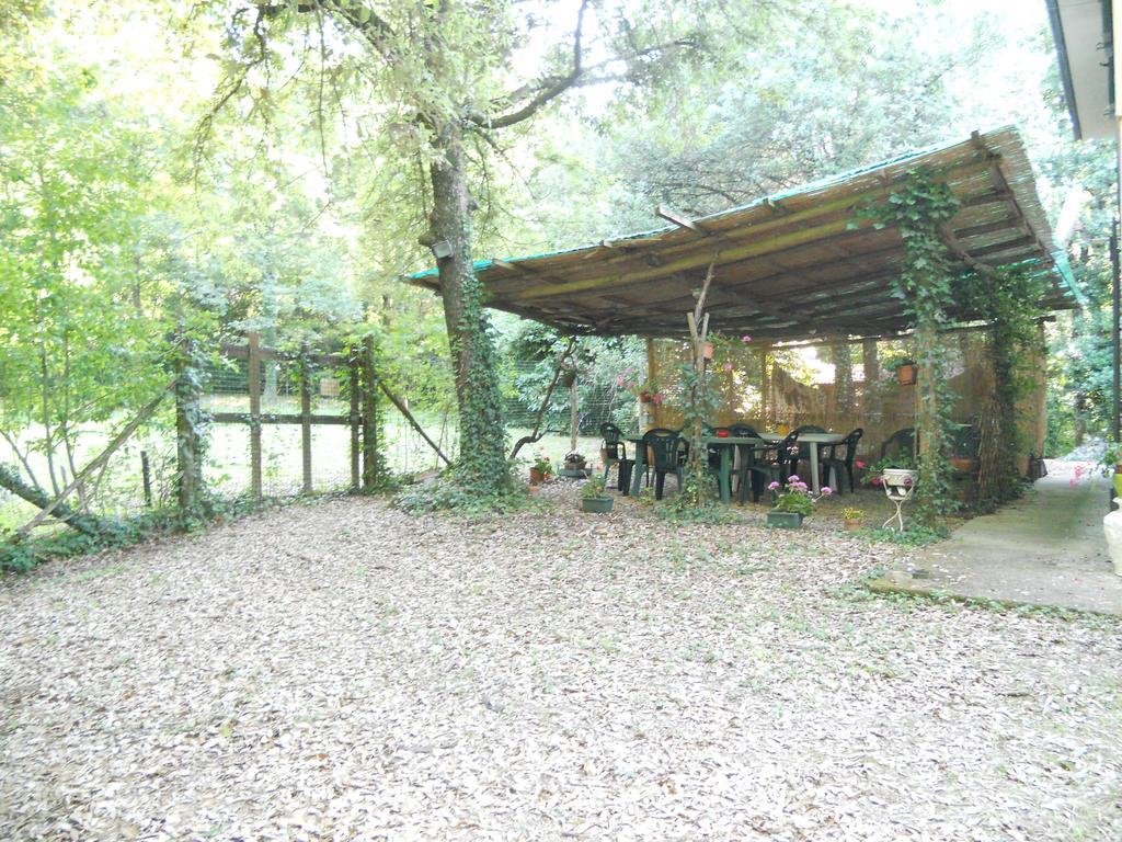 Park View Country House B&B Capannori Dış mekan fotoğraf